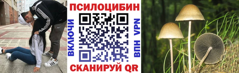 где продают   Электросталь  Галлюциногенные грибы GOLDEN TEACHER 